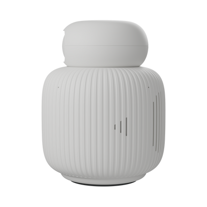 TEST ONLY — MILES Preorder Flow — Not a Real Product